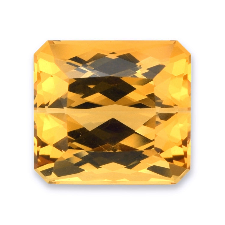 Pro-Image1