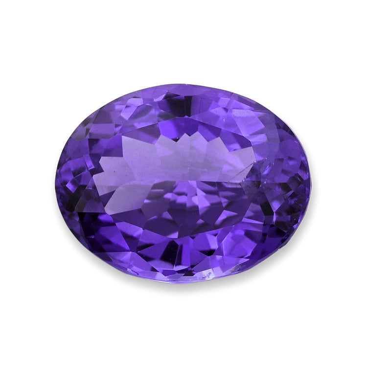 Pro-Image1