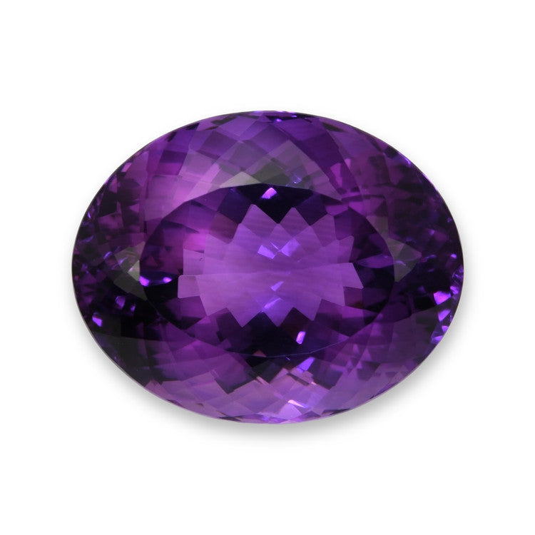 Pro-Image1