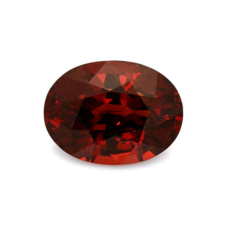 Pro-Image1