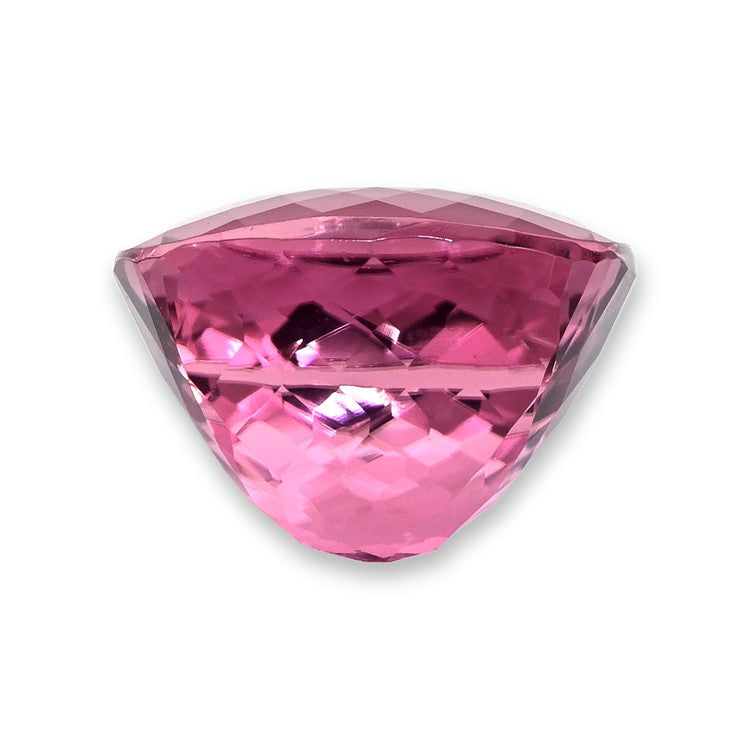 Pro-Image2