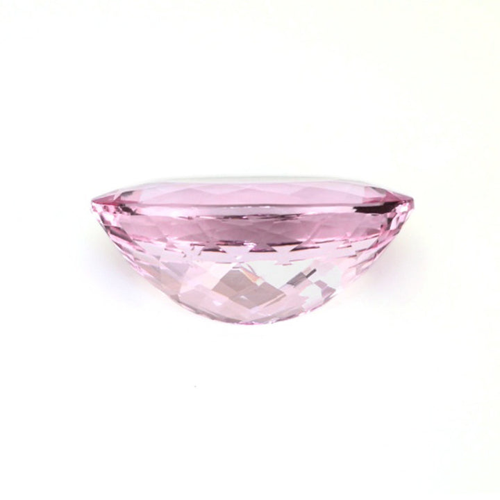 Pro-Image2