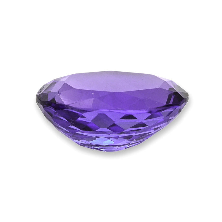 Pro-Image2