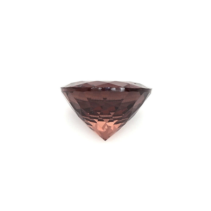 Pro-Image3