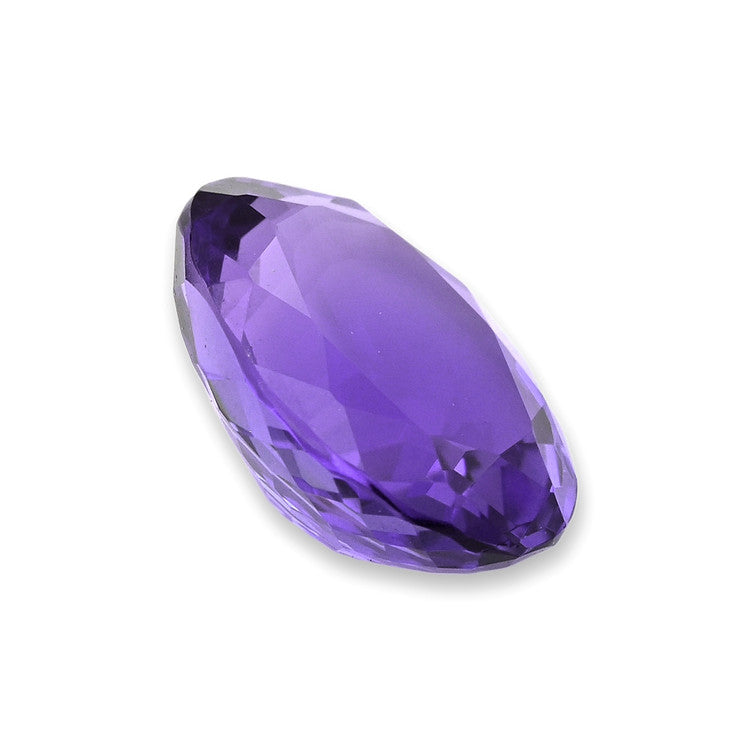 Pro-Image3