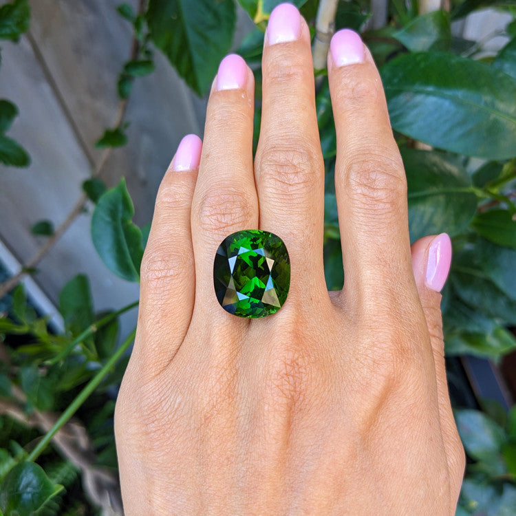 Pro-Life Style Image2