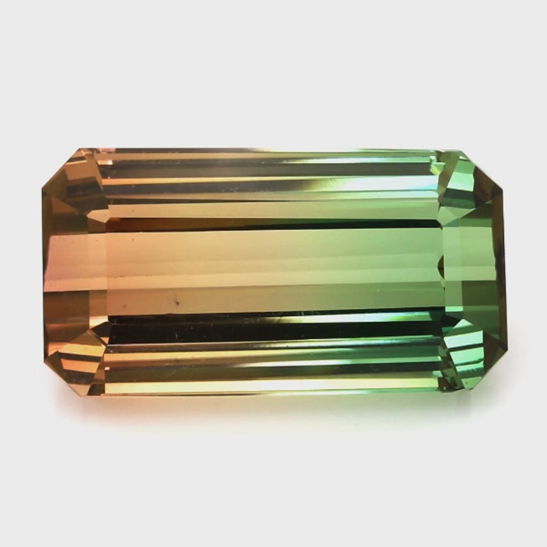 Bi Color Tourmaline 60.77 Carats